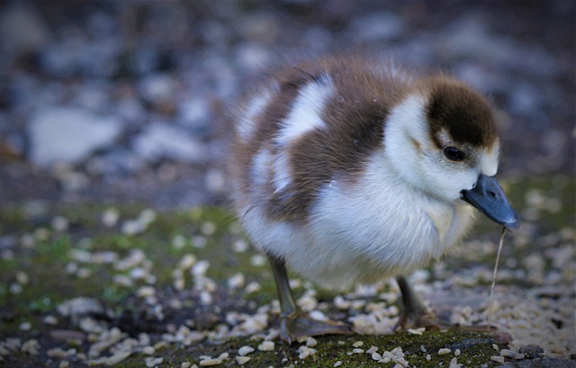 赤ちゃんが立つ時期・1歳二ヶ月はこんな感じ